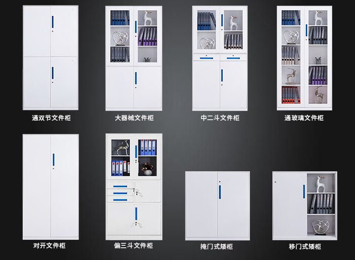 海發(fā)HF-GGLS系列文件柜，鋼制文件柜，辦公文件柜
